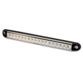 Fanale PRO-CAN XL • retromarcia