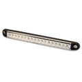 Fanale trasparente PRO-CAN XL • indicatore